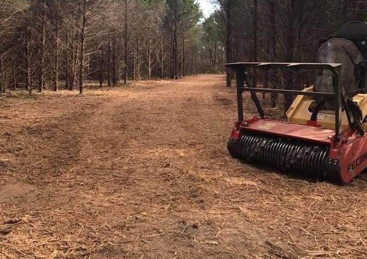 Fence Line Clearing