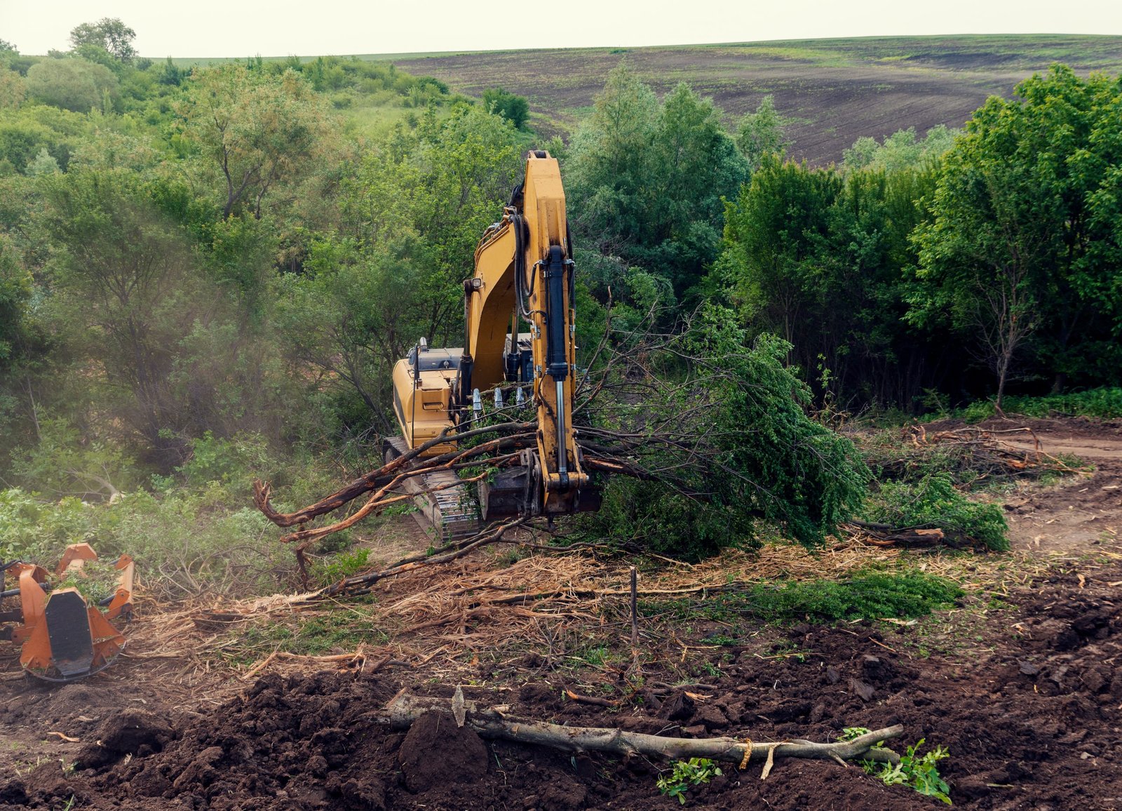 Tree and Vegetation Removal