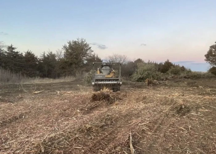Brush Clearing