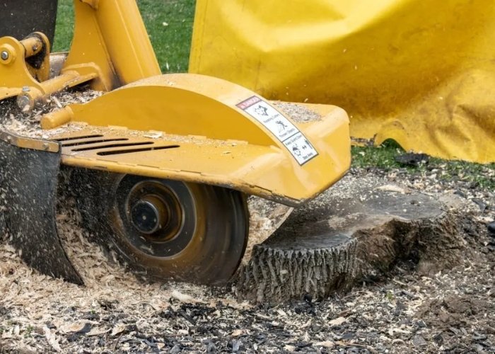 Stump Grinding
