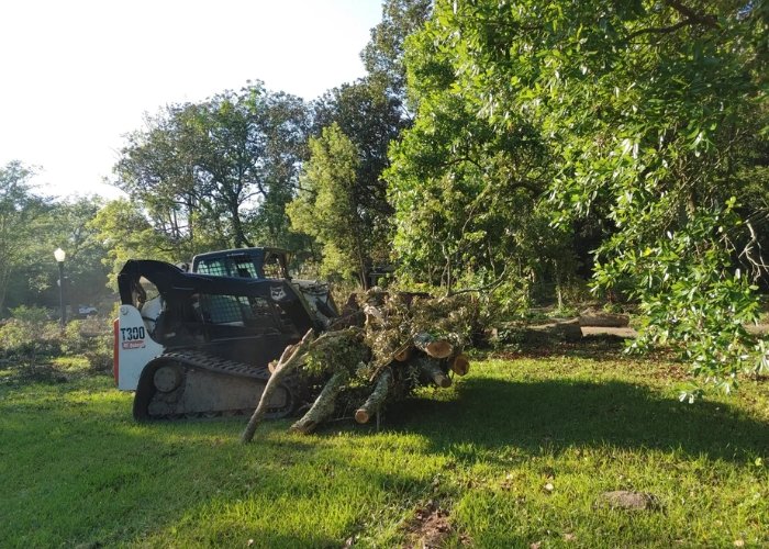 Site Cleanup