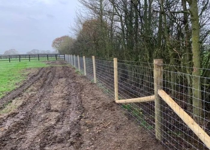 Fence Line Clearing