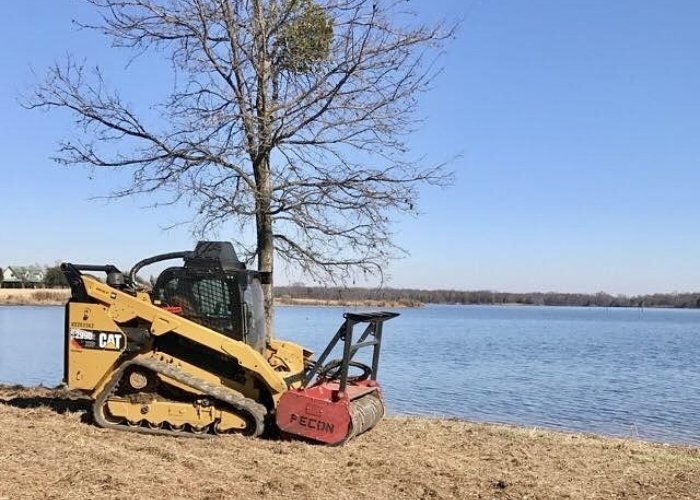 Stump Removal Services