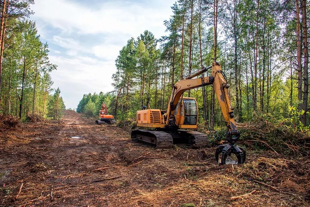 professional land clearing services