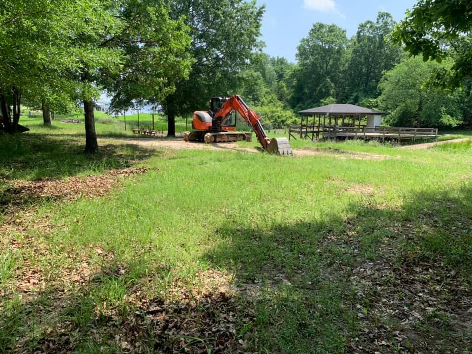 Stump Removal