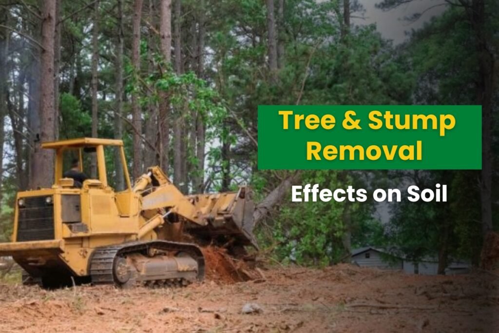 Tree & Stump Removal Effects