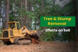 Tree & Stump Removal Effects